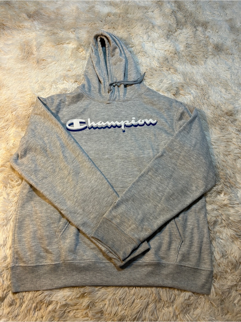 Champion Light Gray Hoodie with White and Blue Script Logo